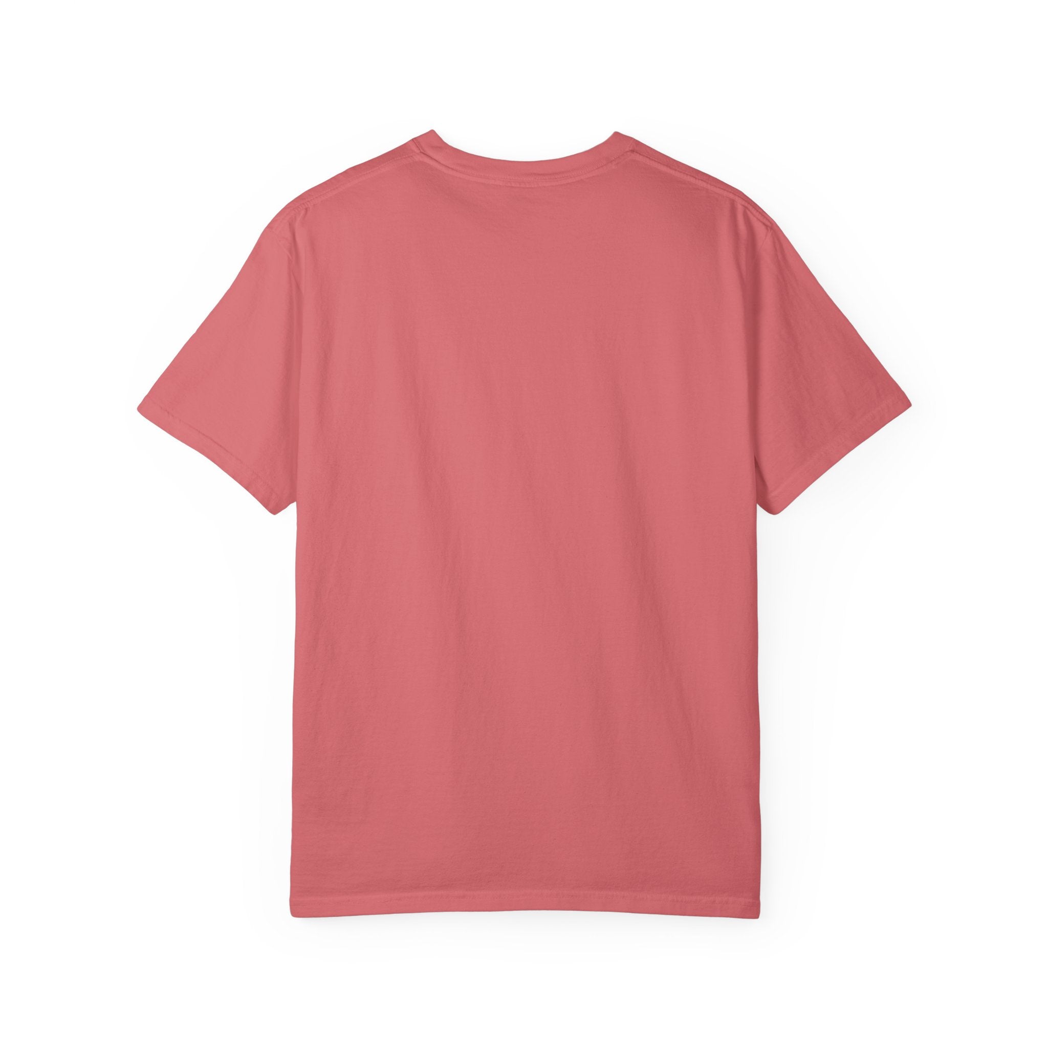WORLD TOUR Unisex Garment-Dyed T-shirt
