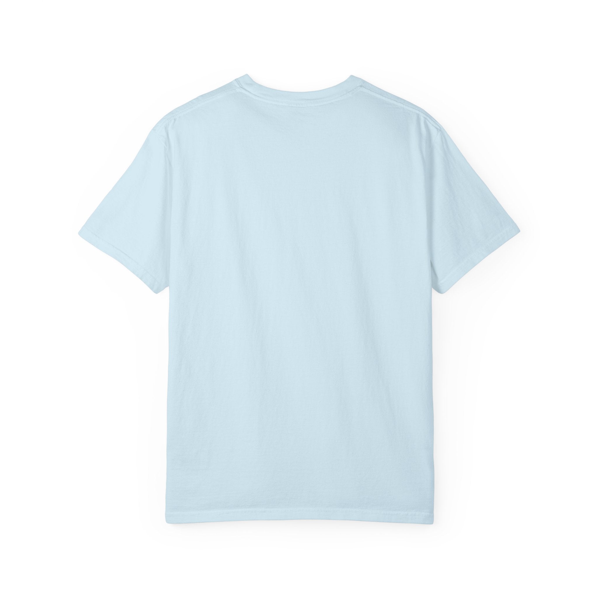 WORLD TOUR Unisex Garment-Dyed T-shirt